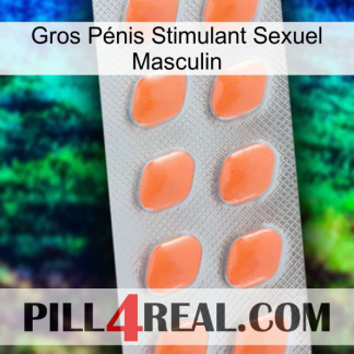 Gros Pénis Stimulant Sexuel Masculin 26